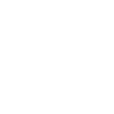 Phone Call Icon